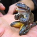 울음박골 이미지