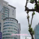 시청센트빌 오피스텔 네이버블로그
