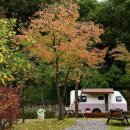 청량산캠핑장 이미지