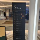 한일펫 | 한일고속페리 골드스텔라 펫룸이용후기 (+펫여권/차량선적) 완도-제주