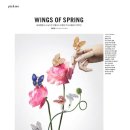 하이클래스 클리프 이미지