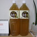 횡성참옻 이미지