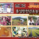 풍성한 천년초농원 이미지
