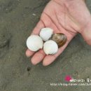 다미민박 이미지