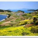 시청앞(우체국) 이미지