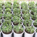 한몽농장 이미지