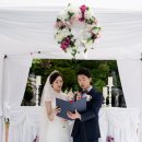 춘천세종호텔 이미지