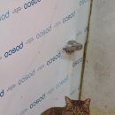 시민식육점 이미지