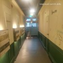 춘천에서 온 편지 | 춘천 게스트하우스 [춘천에서온편지] 솔직후기