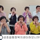 금호읍사무소 Daum카페