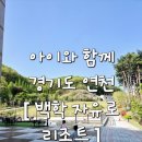 백학마트 | 아이와 함께 가볼만한 곳 [백학 리조트] 로얄스위트 숙박 후기, 리조트 모든 정보, 식당, 솔직후기! 총정리