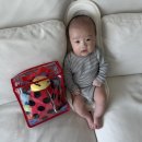 [ 장난감 _ 2M ] 아기 헝겊책 추천 : 애플비 무당벌레 사용후기 ( 언제부터 / 발달 )