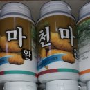 천마스포츠