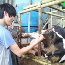 자영목장 이미지