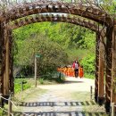 경상남도 수목원 이미지