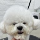 몽글몽글 이미지