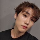 콥프 네이버블로그