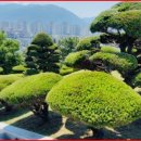 조경기능사 이미지