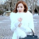 브라운하우스 이미지