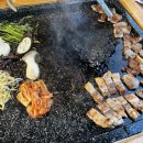 인가배 이미지