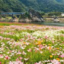 도담정원 이미지