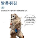 랄라팩토리 감사패 내돈내산 후기