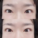 제시뷰티 네이버블로그