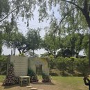 #2025 전남 정원페스티벌 이미지