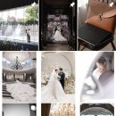 리프레쉬 | 본식스냅 <리프레쉬샷> 계약 후기💍 (+할인코드 공유)