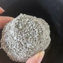 펫몽 | 펫몽 캣츠몽1220 벤토나이트 천사모래 사용 후기