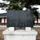 상록수