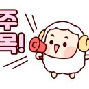 스타메디컬프라자 이미지