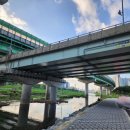 기아대교 이미지