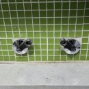 일성버들아파트(2차) 이미지