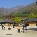 표충사 이미지