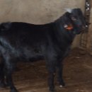 청안농장 이미지