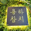 용하초밥참치 이미지