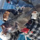 포항시남구장기면양포보건진료소 이미지