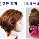 (주)피지에이코리아 이미지