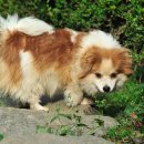 형제농장-2 이미지