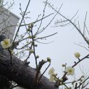 마산대학교 | 상냥한 둘리쌤 닉네임 소개, 마산대학교 평생교육원 2차 수업 후기
