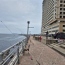 7월7~8일 속초 대포항 캠낚~! 이미지