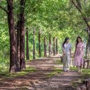 소중한 우리의 소리, 판소리(1) 이미지