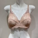 (주)한국와코루 이미지