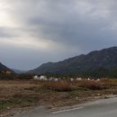 운산리 구라이골 캠핑장 이미지