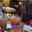 데일리지몽