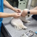 통일동물병원 뉴스핌