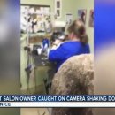 캣 미용실 이미지