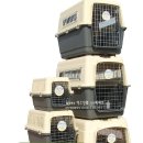 맥스켄넬 이미지