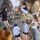 들림집 이미지